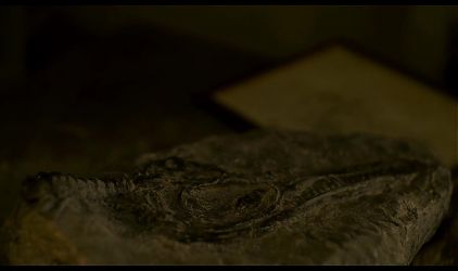 Saoirse Ronan and Kate Winslet - Ammonite (2020)